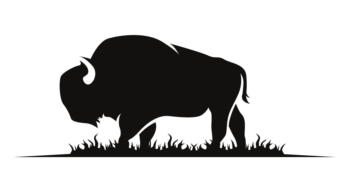 bison icon