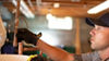 Contractor installing copper lines in the basement of a home