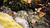 Qualità acqua potabile
