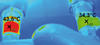 Thermografie einer Wandarmatur: Durch den PWH-Anschluss, der hier in den Zirkulationskreis einbezogen wurde, findet über die Entnahmearmatur ein massiver Wärmeübergang auf den PWC-Anschluss statt – in diesem Fall bis auf extrem hygienekritische 34,3 °C.