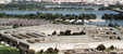 Pentagon