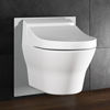 Ausgesprochen variabel: Das neue Eco Plus-Dusch-WC-Element ist für den Anschluss verschiedenster Dusch-WCs und Dusch-WC-Aufsätze vorbereitet. Durch die abnehmbare Glasplatte ist auch eine nachträgliche Umrüstung von WC auf Dusch-WC problemlos möglich. 