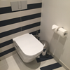Installed in all bathrooms are Viega Eco Plus pre-wall modules.