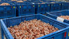 Blue bin filled with Viega ProPress fittings produced in sustainable manufacturing environment